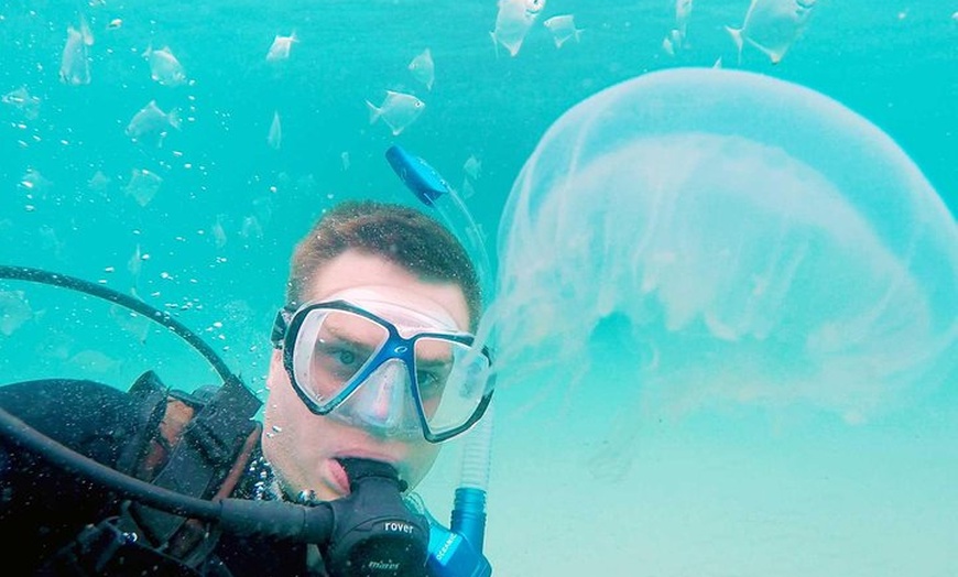 Image 22: Wave Break Island Snorkel Tour on the Gold Coast