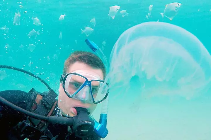 Wave Break Island Scuba Diving on the Gold Coast