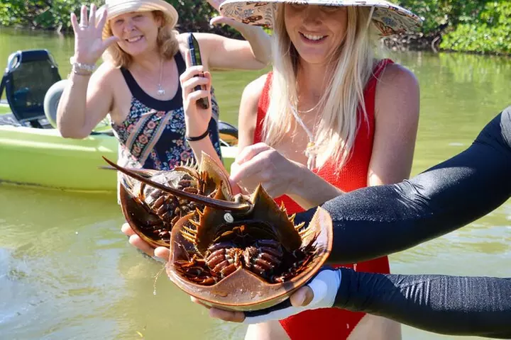 Exclusive Relax & Explore Pedal Kayak Tour Marco Island & Naples