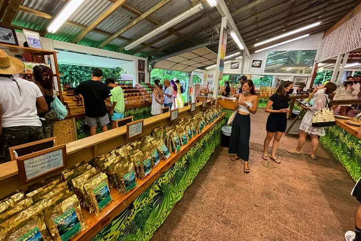 Diamond Head Hiking and Oahu Island Experience feat. North Shore