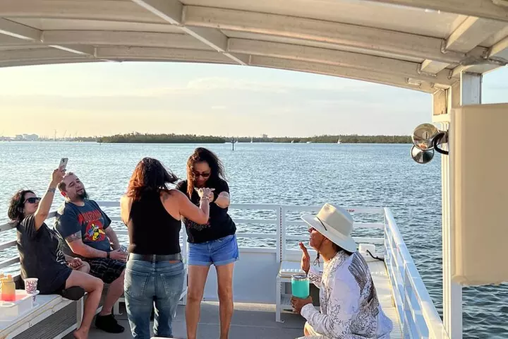 2 HR Dolphin Tour for 7 people