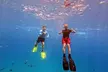 Kona Snorkeling Adventure Open Charter - Second Medium
