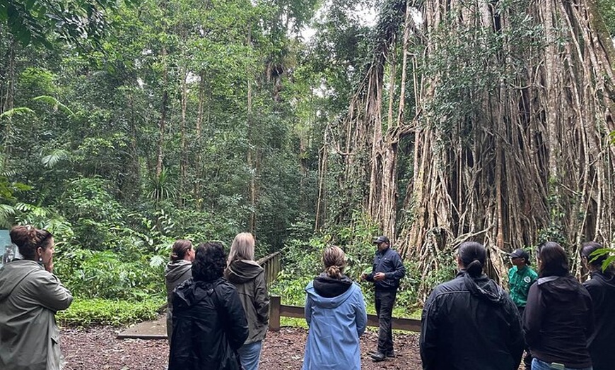 Image 2: Cairns: Aboriginal Cultural Tour Atherton Tablelands