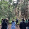 Image 2: Cairns: Aboriginal Cultural Tour Atherton Tablelands
