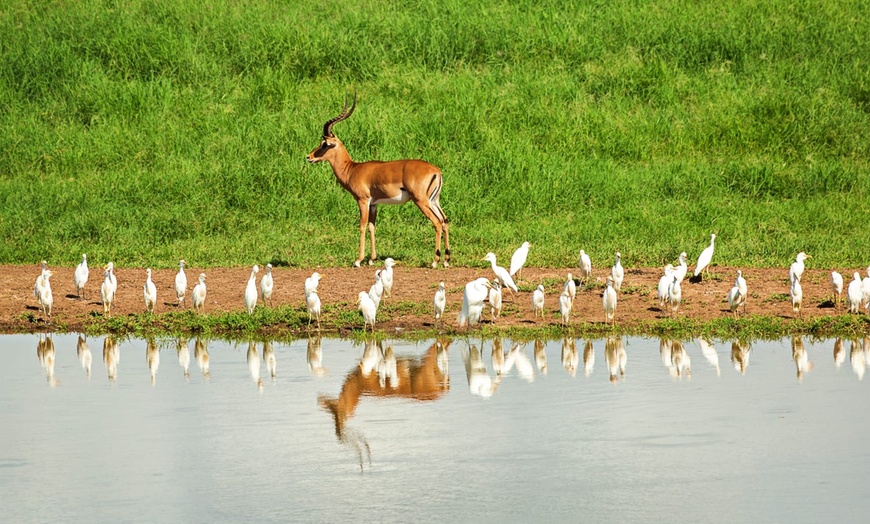 Image 9: ✈ KENYA | Mombasa - Private tour: Kenya's captivating landscapes, b...