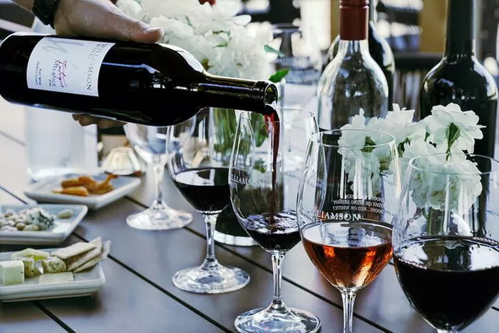 Icon Wine & Food Pairing at Williamson Wines in Healdsburg