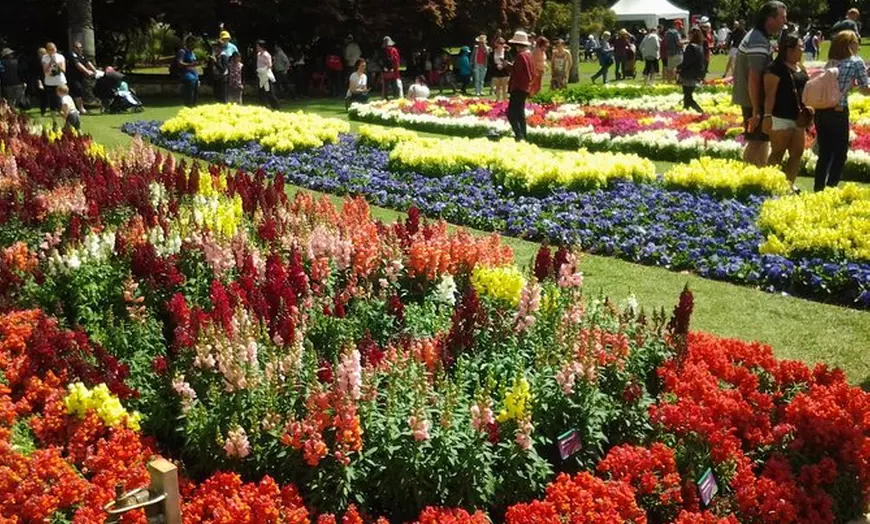Image 1: Carnival Of Flowers Toowoomba