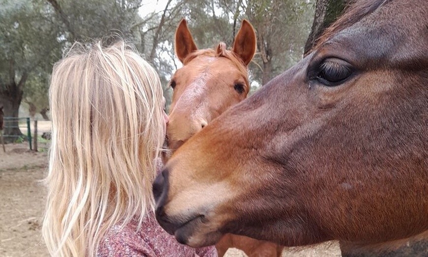 Image 5: Coaching Personal Asistido con Caballos