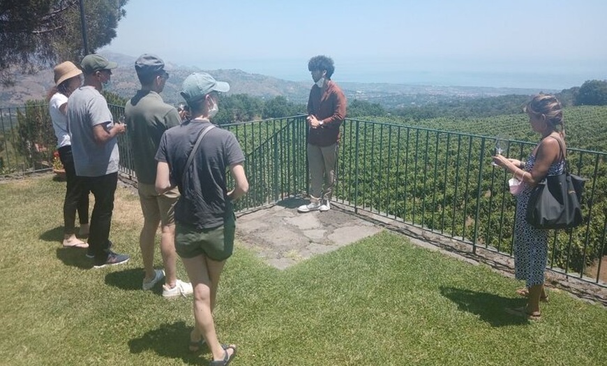 Image 33: Tour privato di 6 ore di tre aziende vinicole dell'Etna con degusta...
