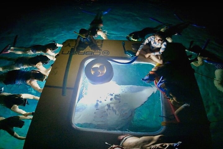 Manta Ray Snorkel Experience