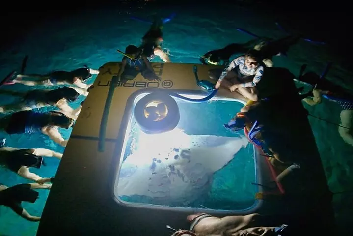 Manta Ray Snorkel Experience
