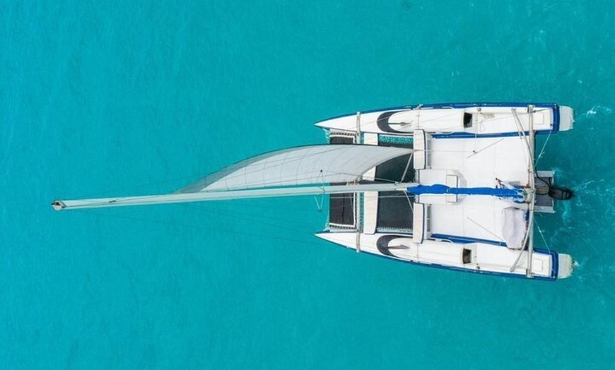 Image 12: Private Catamaran Experience! Buffet and Unlimited Open Bar