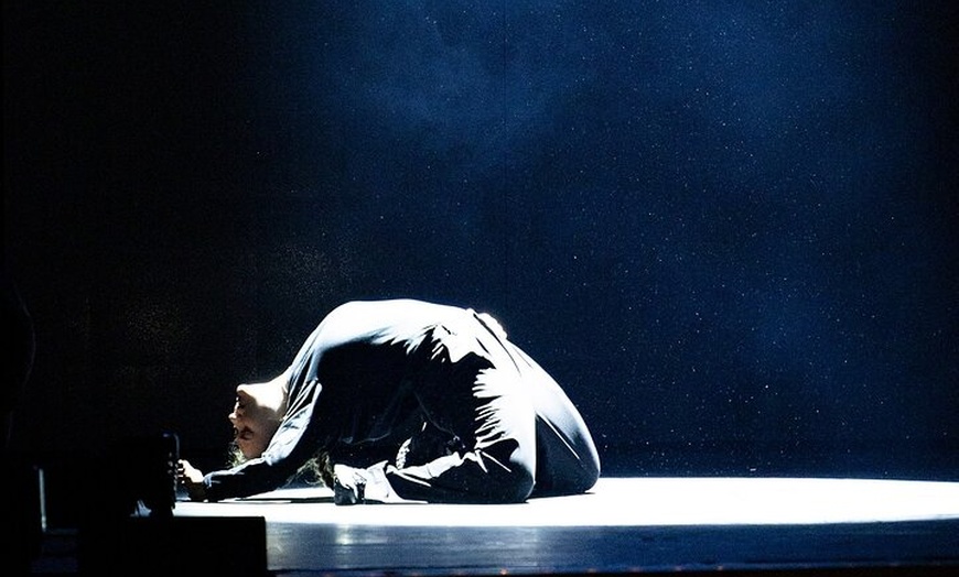 Image 21: Wintergarten Varieté "FLYING LIGHTS" inkl. Flying Steps