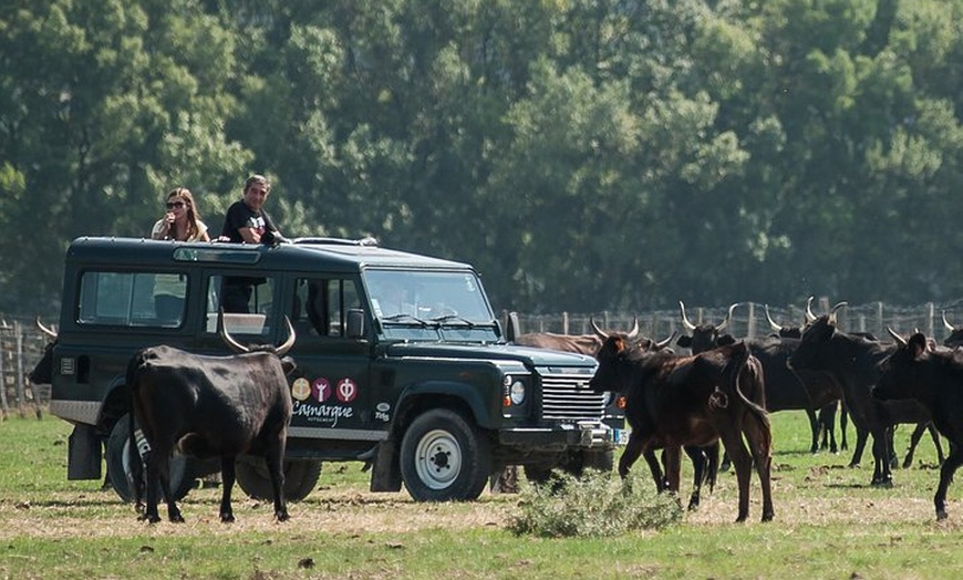 Image 1: 3 heures de safari en Camargue en 4x4 depuis Le Grau-du-Roi