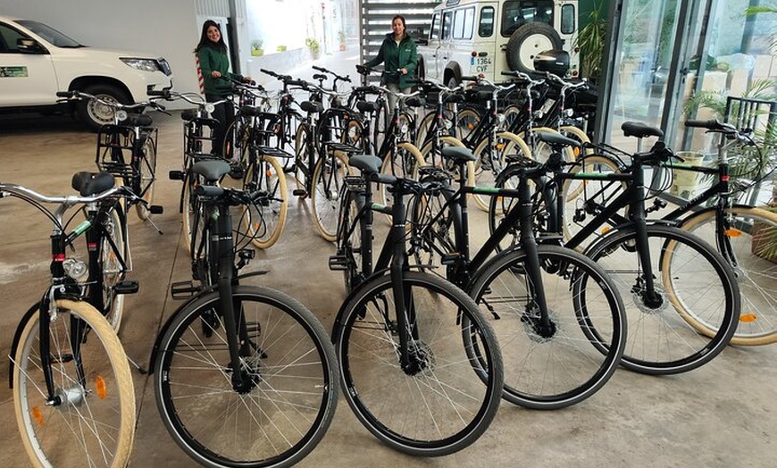 Image 1: Alquiler de bicicletas en Sevilla. Puede escoger entre 5 puntos dis...