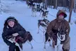 Large Groups for Mushing Activity - Second Medium