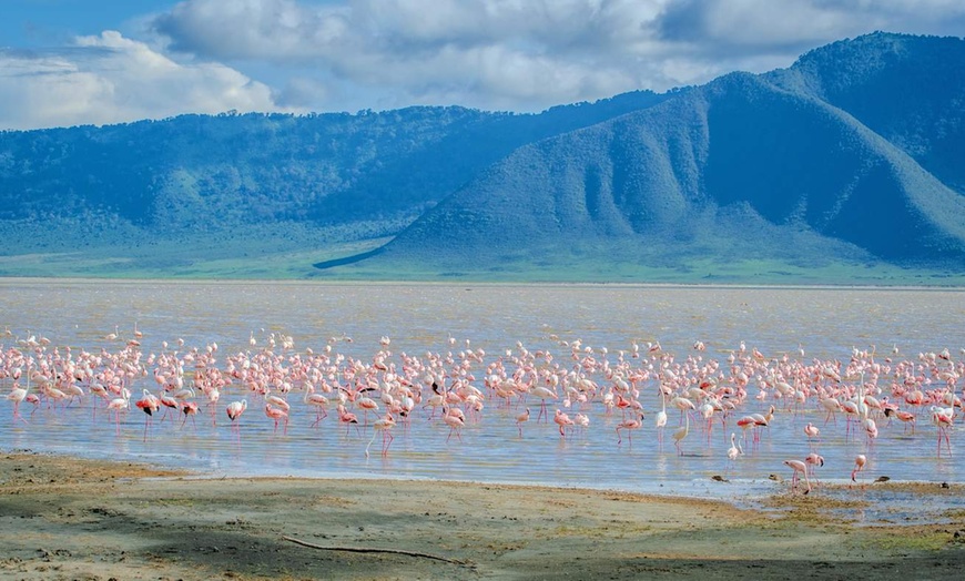 Image 13: ✈ TANZANIE | Du Kilimanjaro à Nairobi - Safaris en Afrique entre la...