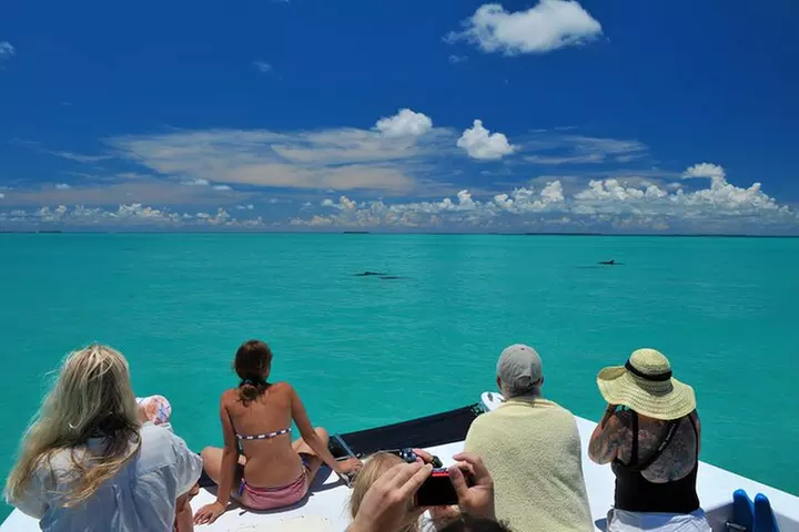 Key West Day Trip from Miami with Activities