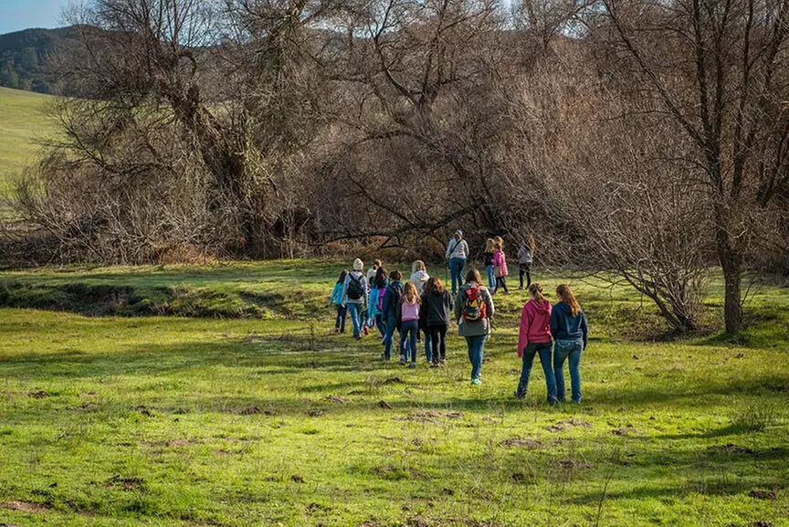 $64.50 Worth of A Zipline Tour For 1 (Reg. $129)