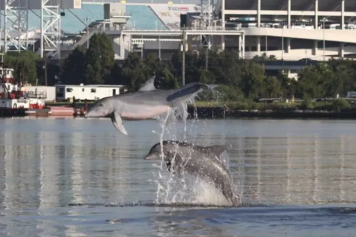 Jacksonville Private Daytime Boat Tour in for up to 6 passengers - Primary Image