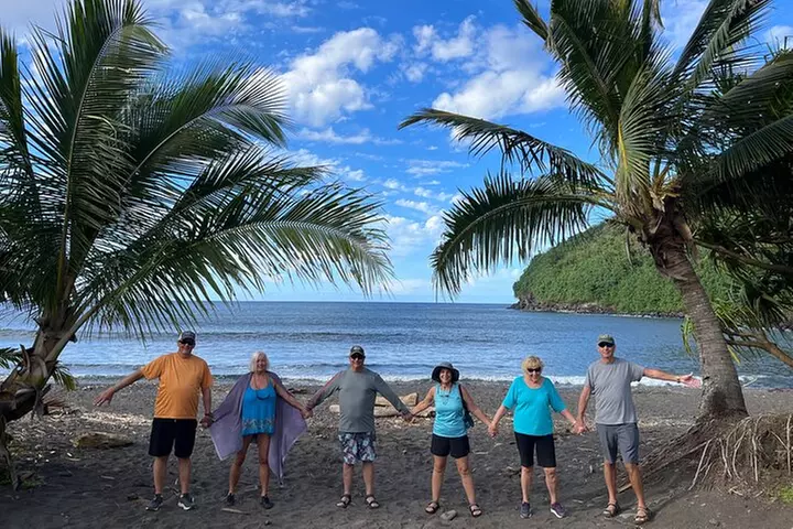 Private Maui Jungle and Waterfall Adventure Half Day Road to Hana - Primary Image