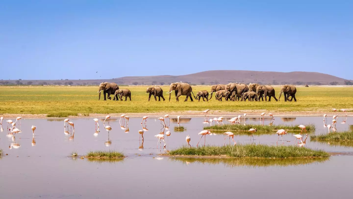 ✈ KENYA | Mombasa - Riserve naturali in safari e spiagge in Kenya 3...