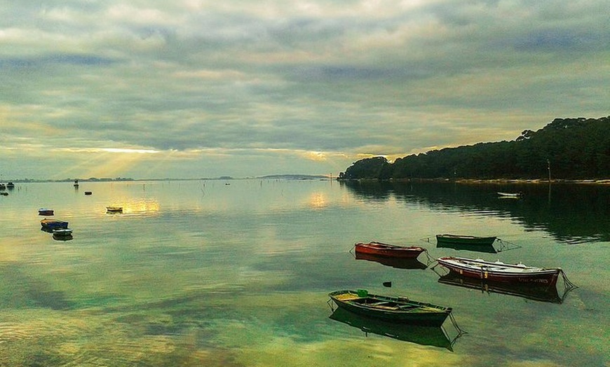 Image 10: Rías Baixas Tour privado con cata de vinos, comida, mejillones y re...