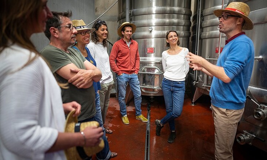 Image 4: Visite d'une demi-journée en petit groupe, vins du Languedoc, Pic S...