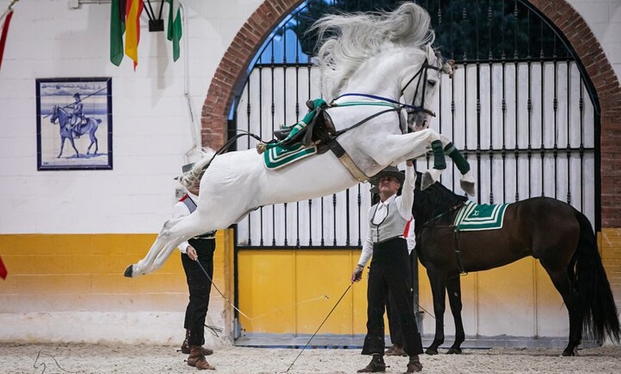 Image 4: Espectáculo de Caballos Andaluces y Flamenco con transporte