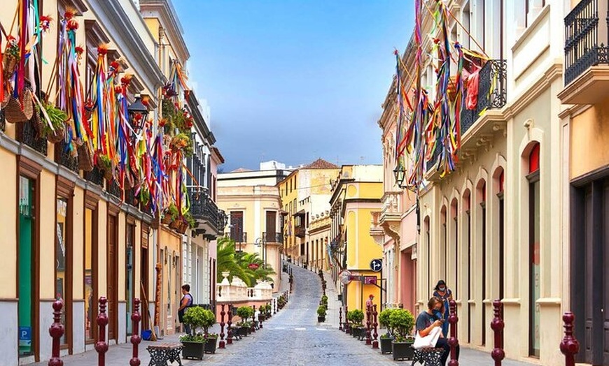 Image 3: Tour privado por Tenerife con guía en clase Mercedes V