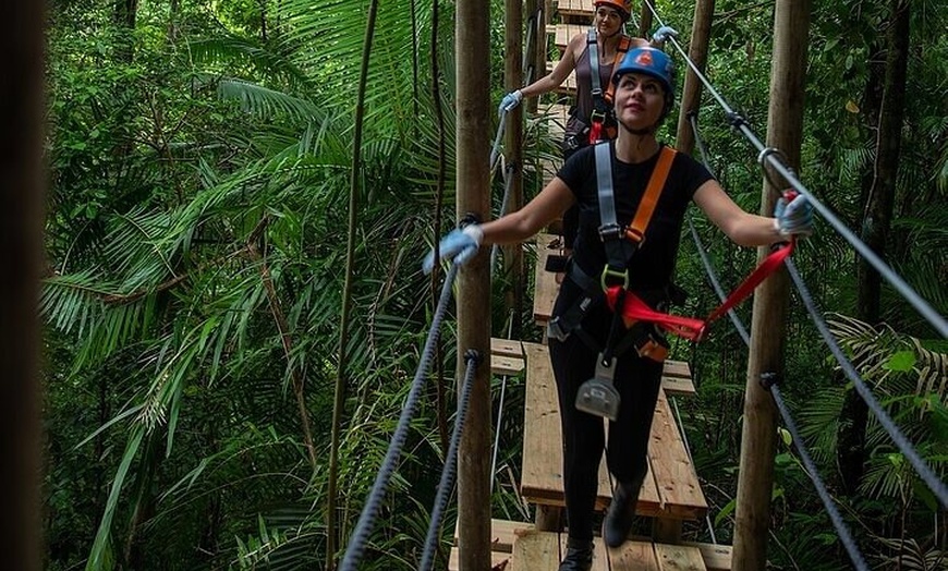 Image 6: Ziplining Cape Tribulation with Treetops Adventures