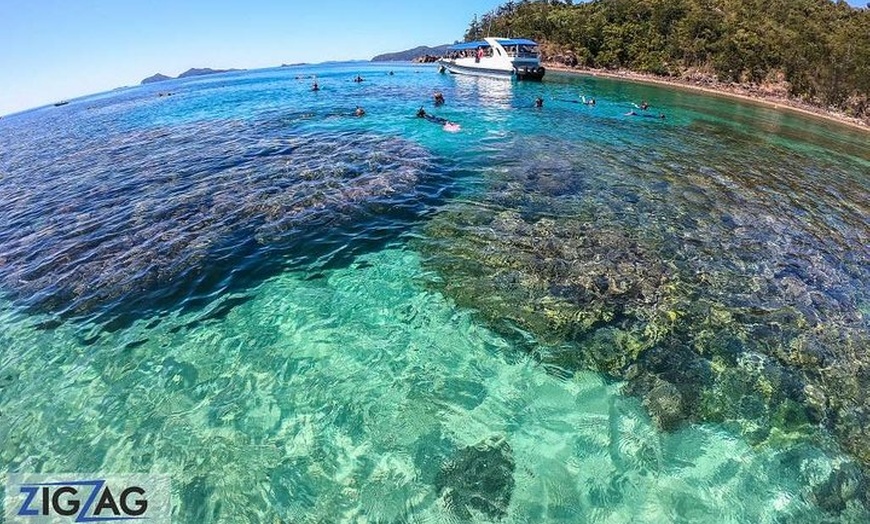 Image 19: Whitsundays Whitehaven Beach Tour: Beaches, Lookouts and Snorkel