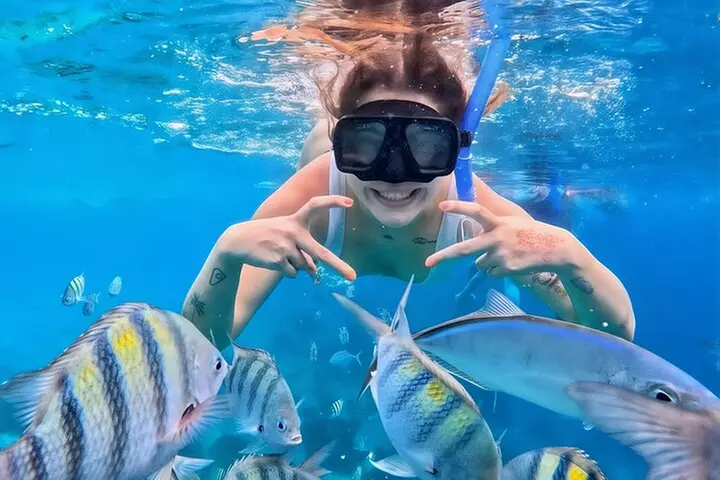 Grand Snorkeling Riviera Maya Private Tour - Primary Image