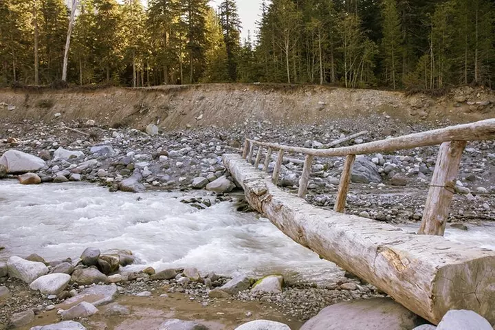 Ultimate Mount Rainier National Park Self-Guided Driving Tour