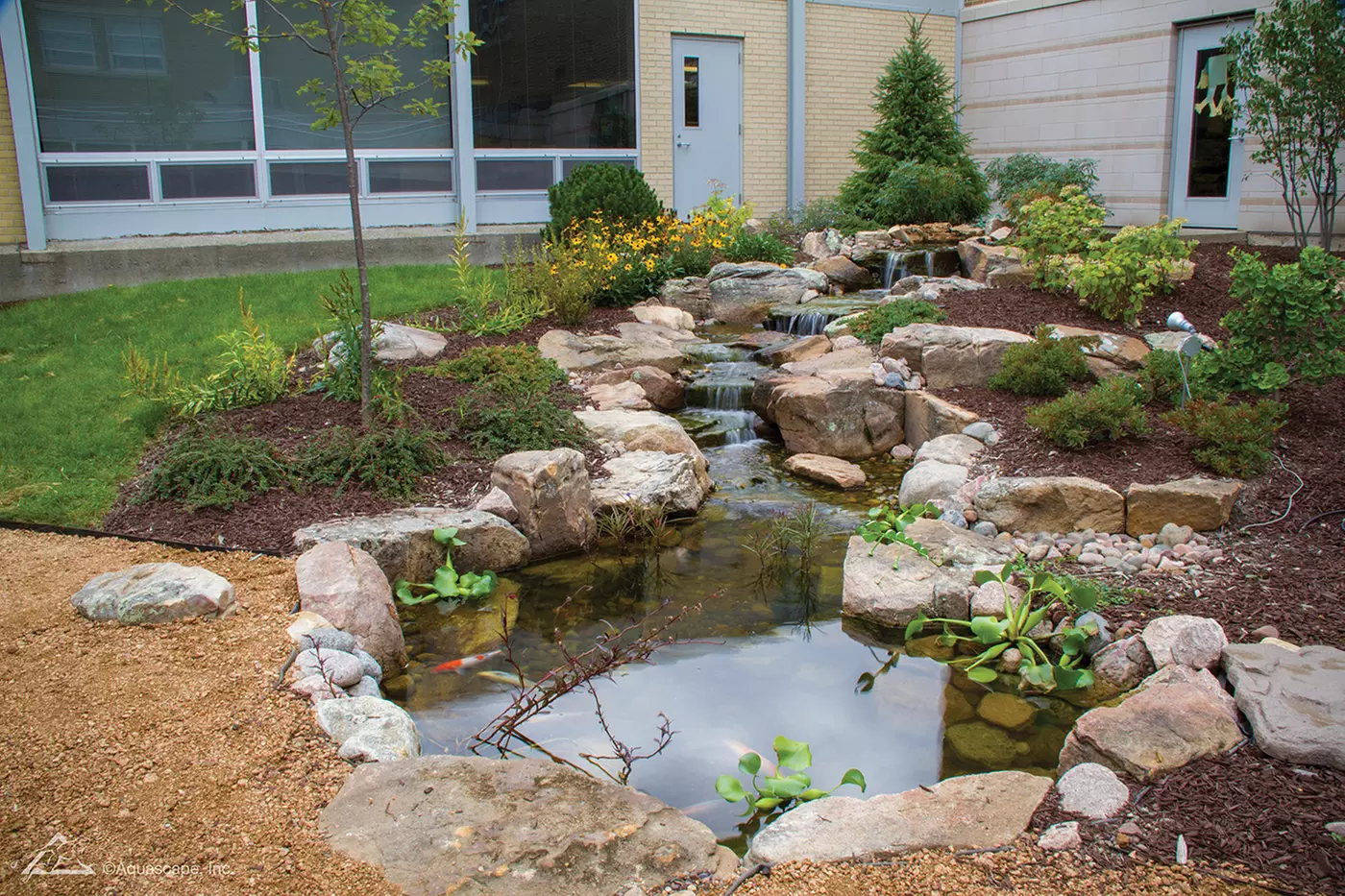 $50 For $100 Toward Pond Products - Primary Image