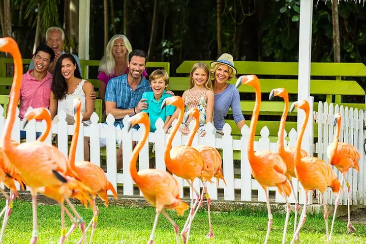 Flamingo March & Pirates Adventure Tour Nassau - Primary Image