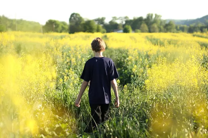 Norfolk Tour App, Hidden Gems Game and Big Britain Quiz (7 Day Pass...