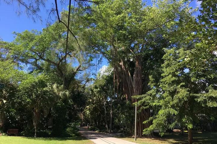 City Tour Miami PLUS and Boat Tour