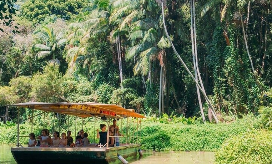 Image 5: Tropical Fruit World Farm Full Tour