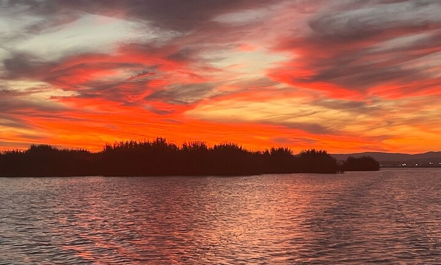 Image 12: Desde Valencia: Paseo En Barca En La Albufera + Paella Incluido