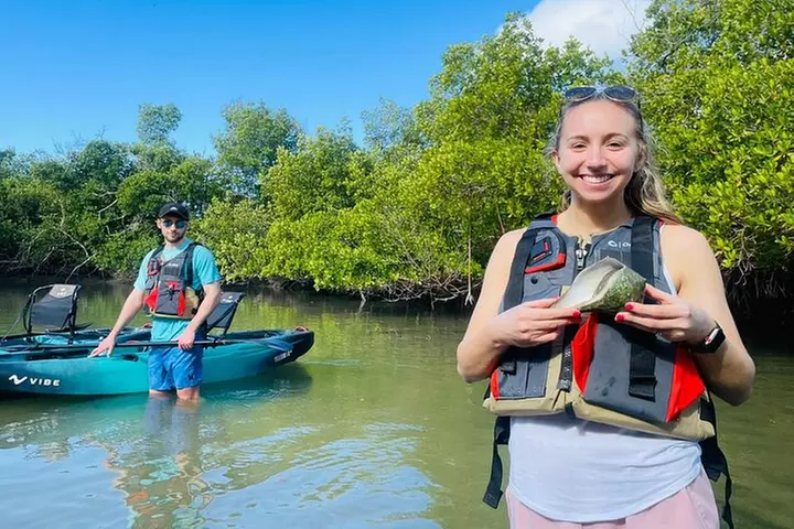 Kayak Tour Adventure Marco Island and Naples Florida