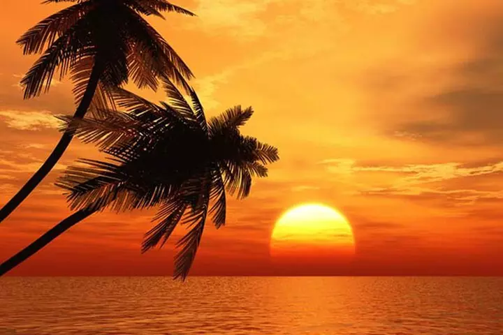 Key West Tiki Bar Sunset Cruise (by the seat) BYOB Adventure