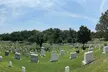 Arlington Cemetery Guided History Tour with Changing of the Guard - Second Medium