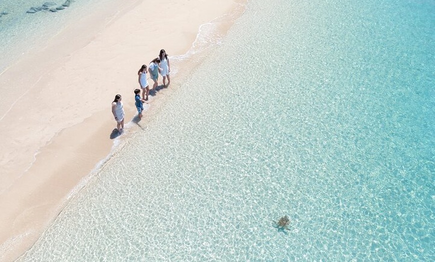 Image 6: Whitehaven Beach and Hill Inlet Lookout Snorkeling Cruise