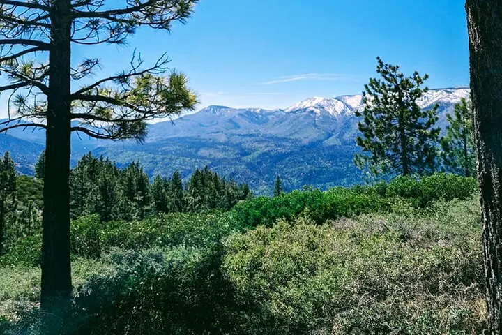 Family-Friendly Nature Hike around the Big Bear Valley