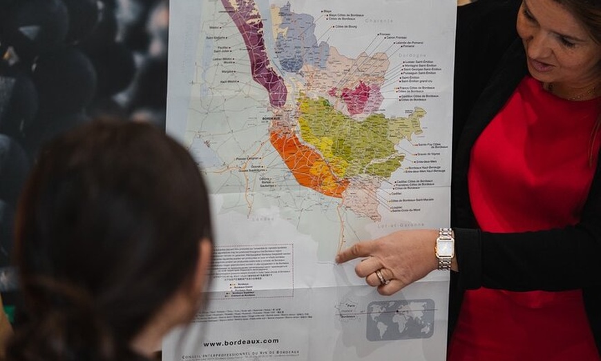Image 7: Dégustation privée de 6 Grands Crus Classés de Bordeaux