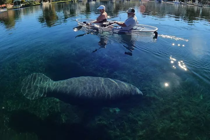 Clear Kayak Manatee Ecotour of Crystal River