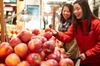 Vancouver Shore Excursion: Small-Group Granville Island Market Tour