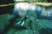 Snorkel Or Dive The Amazing Rainbow River Florida - Second Medium