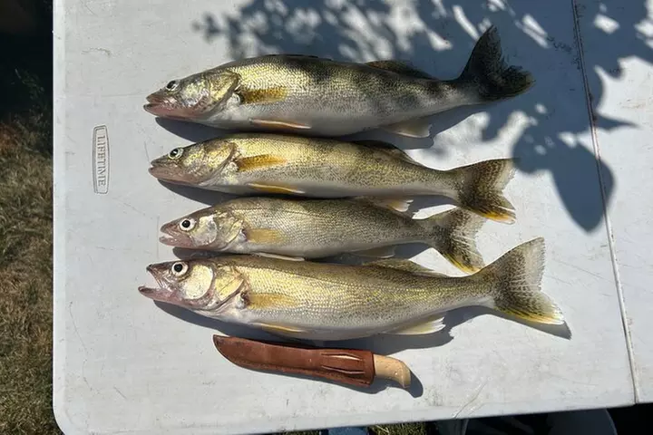 Half Day Guided Fishing Service in the Greater Yellowstone - Second Medium